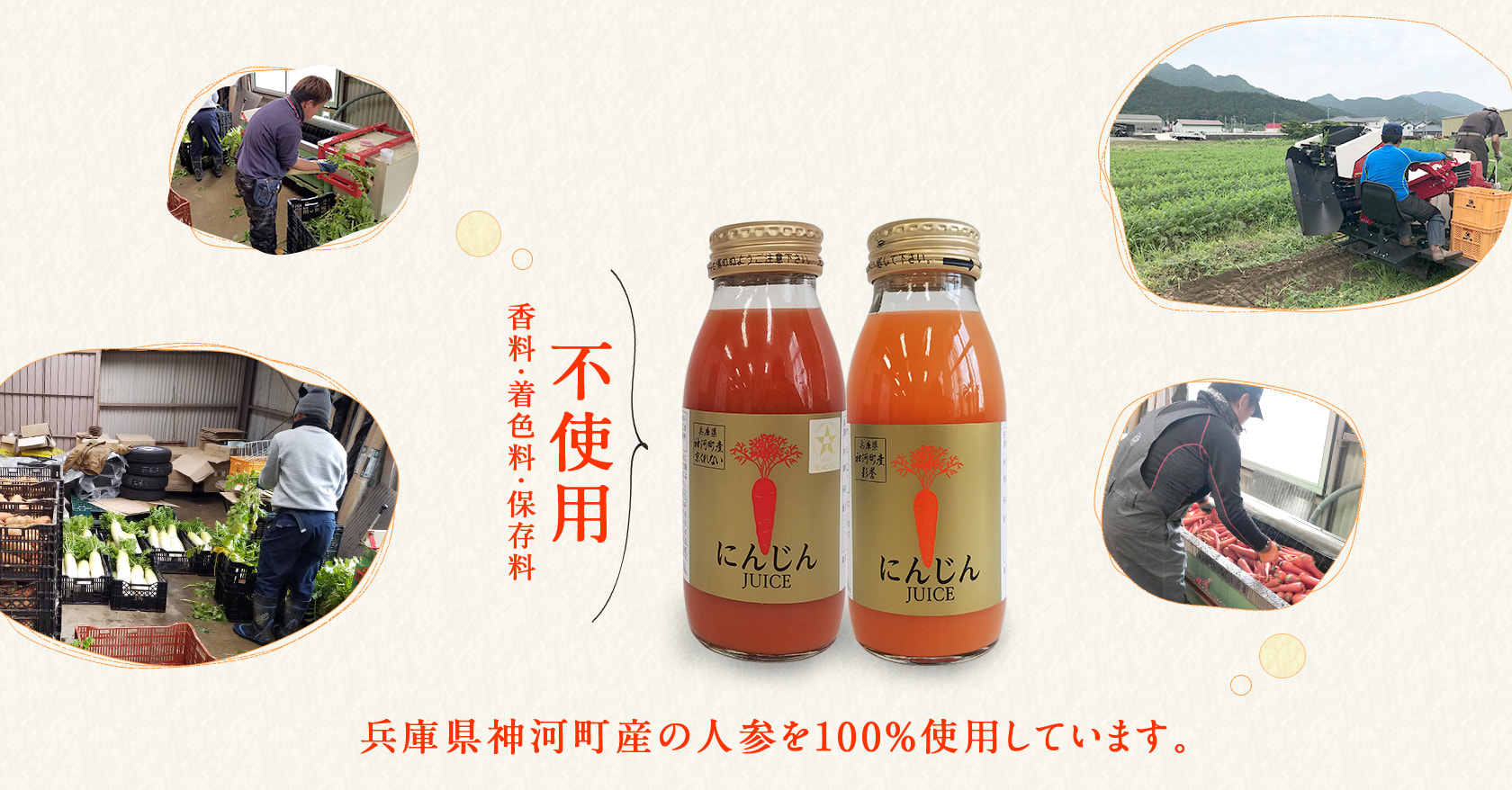 香料・着色料・保存料不使用　兵庫県神河町産の人参を100%使用しています。